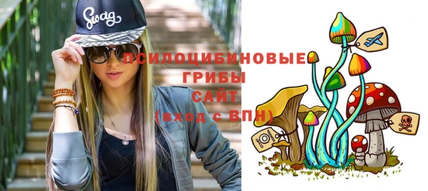 гидропоника Алексеевка